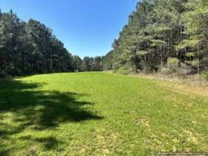 land-for-sale-newton-county-ms