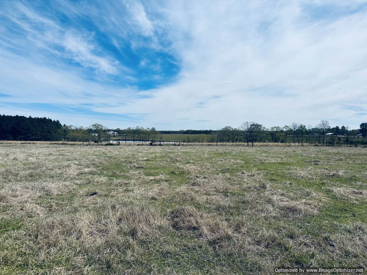 land-for-sale-scott-county-ms