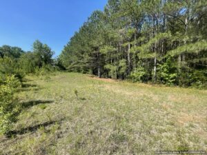 land-for-leake-county-ms