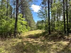 land-for-sale-copiah-county-ms