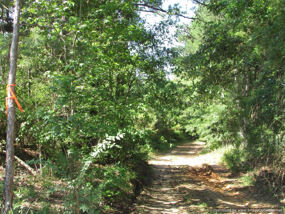 land-for-sale-leake-county-ms