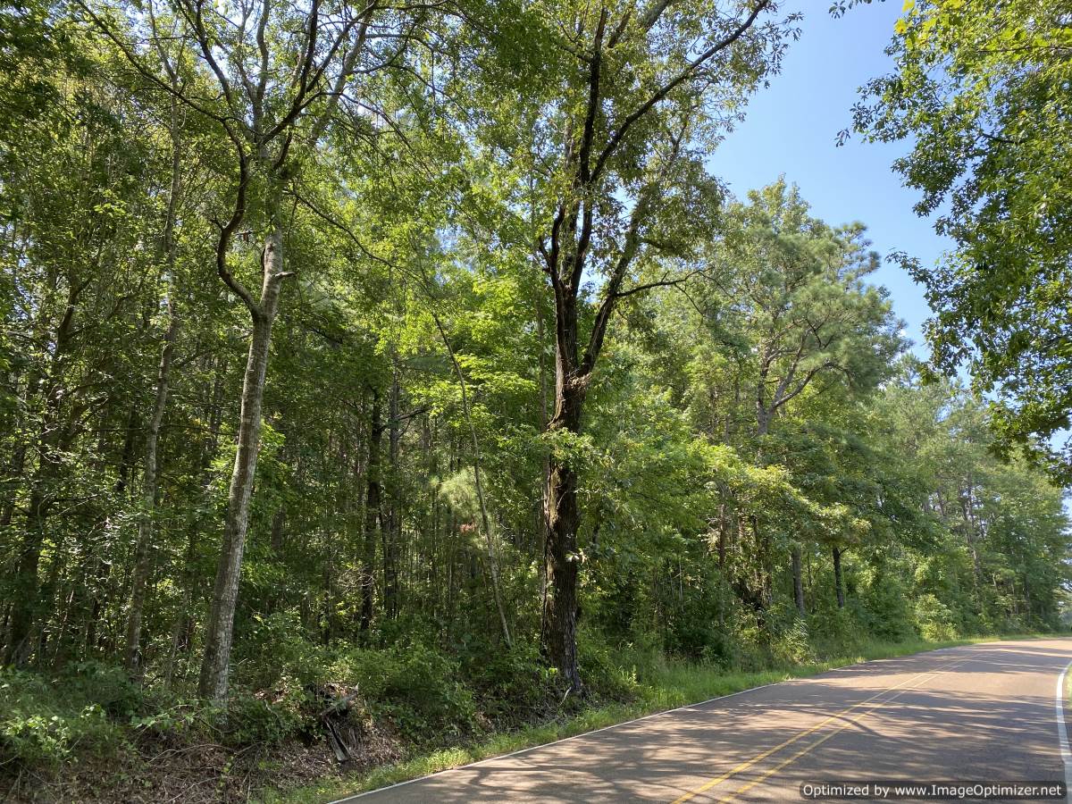 land-for-sale-loyd-star-school-district