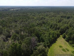 land-for-sale-pike-county-ms