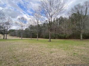 Land-for-sale-pike-county-ms