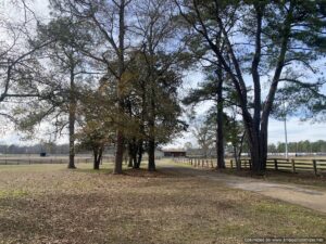 agricultural-land-horse-property-hinds-county-ms