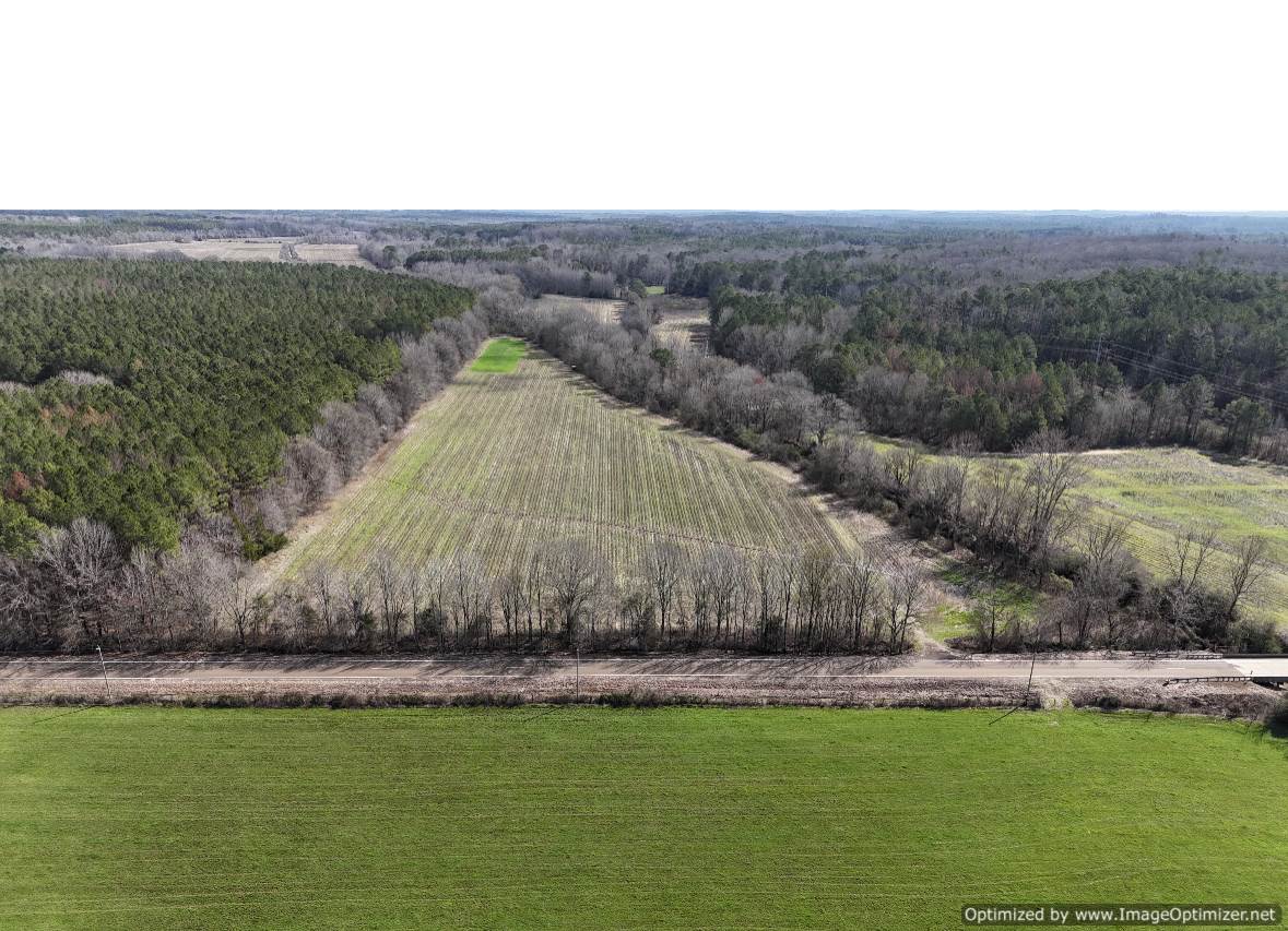 land-for-sale-attala-county-hunting-land-sallis-ms