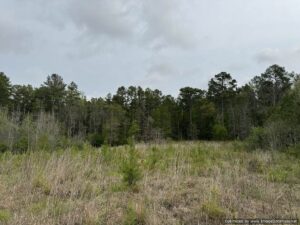 land-in-lincoln-county-for-sale-hunting-waterfront-creek
