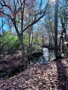 land-for-sale-lincoln-county-ms-hunting-west-lincoln-school