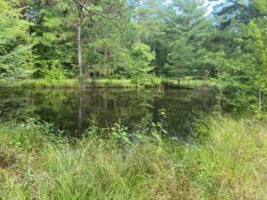 land-for-sale-lawrence-county-ms