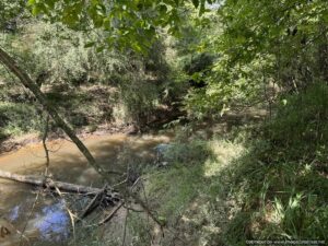 Land-for-sale-lincoln-county