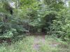 10-hunting-land-for-sale-in-copiah-county-ms