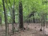 12-hunting-land-for-sale-in-copiah-county-ms