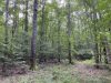 15-hunting-land-for-sale-in-copiah-county-ms