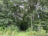 2-hunting-land-for-sale-in-copiah-county-ms