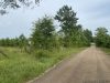 2-land-for-sale-franklin-county-ms