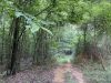 24-hunting-land-for-sale-in-copiah-county-ms
