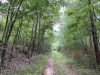 25-hunting-land-for-sale-in-copiah-county-ms