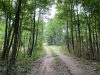 26-hunting-land-for-sale-in-copiah-county-ms