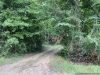 28-hunting-land-for-sale-in-copiah-county-ms