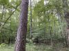 4-hunting-land-for-sale-in-copiah-county-ms