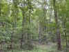 6-hunting-land-for-sale-in-copiah-county-ms
