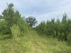 6-land-for-sale-franklin-county-ms