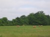 madison-county-ms-commercial-land