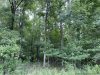 7-hunting-land-for-sale-in-copiah-county-ms